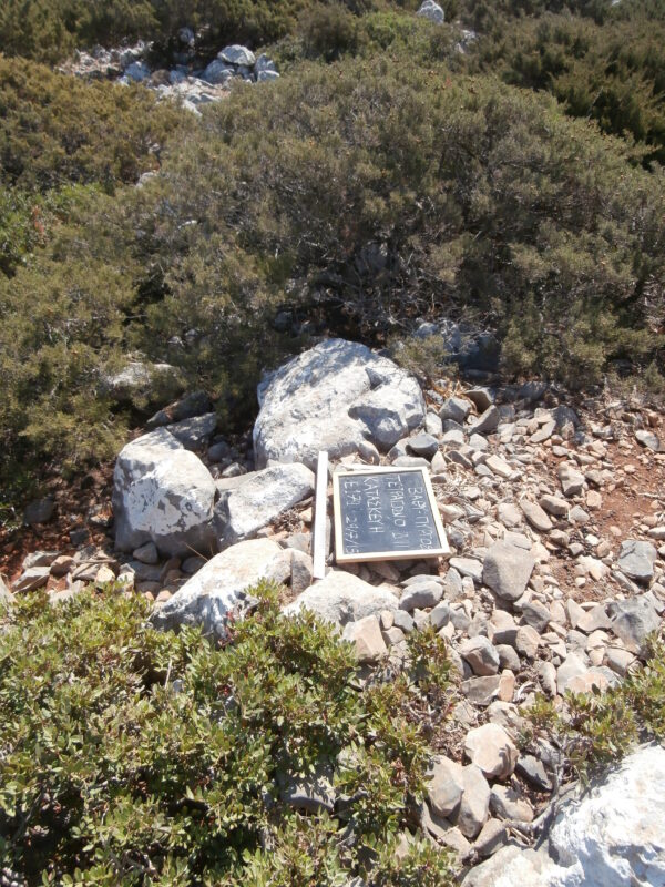 E179 - Image 2