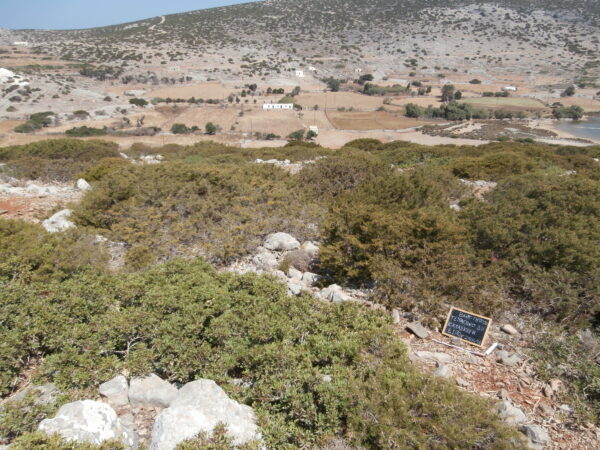 E180 - Image 2