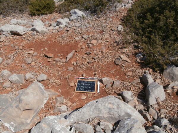 E178 - Image 3