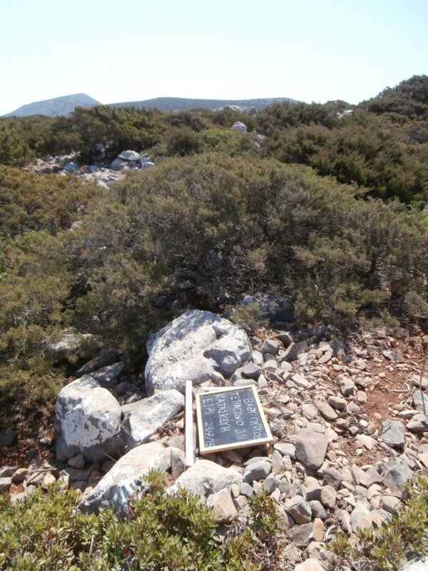 E179 - Image 3