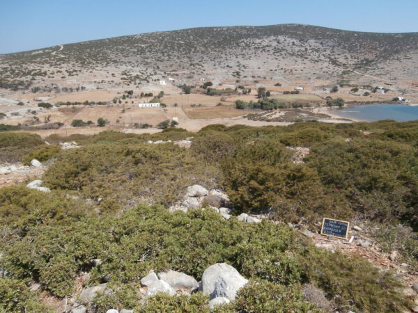 E180 - Image 3