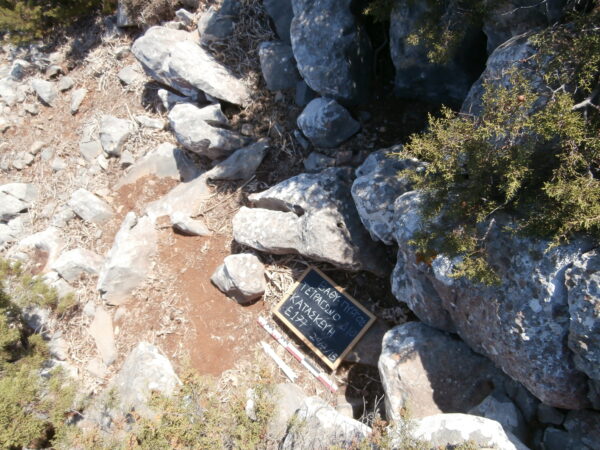 E177 - Image 3