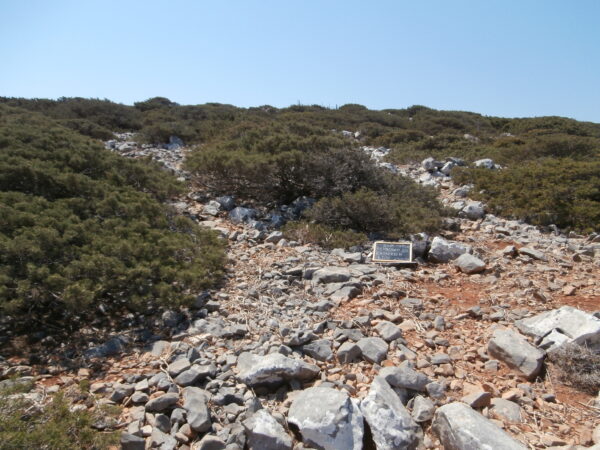 E180 - Image 5