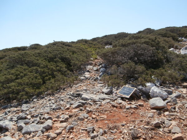 E180 - Image 6