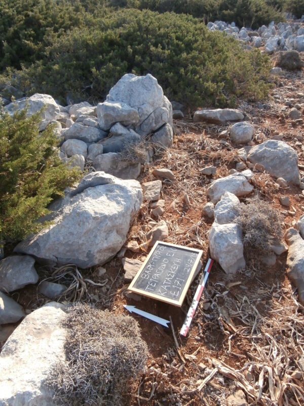 E171 - Image 2