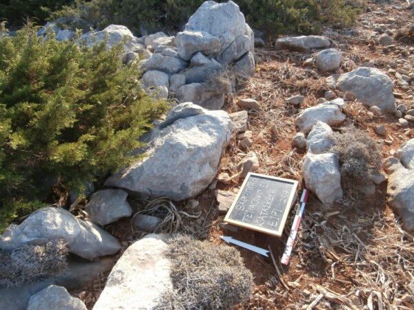E171 - Image 3