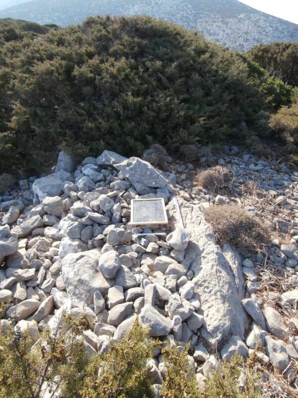 E173 - Image 2