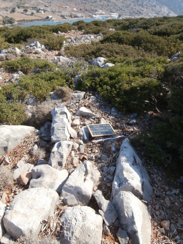 E175 - Image 2