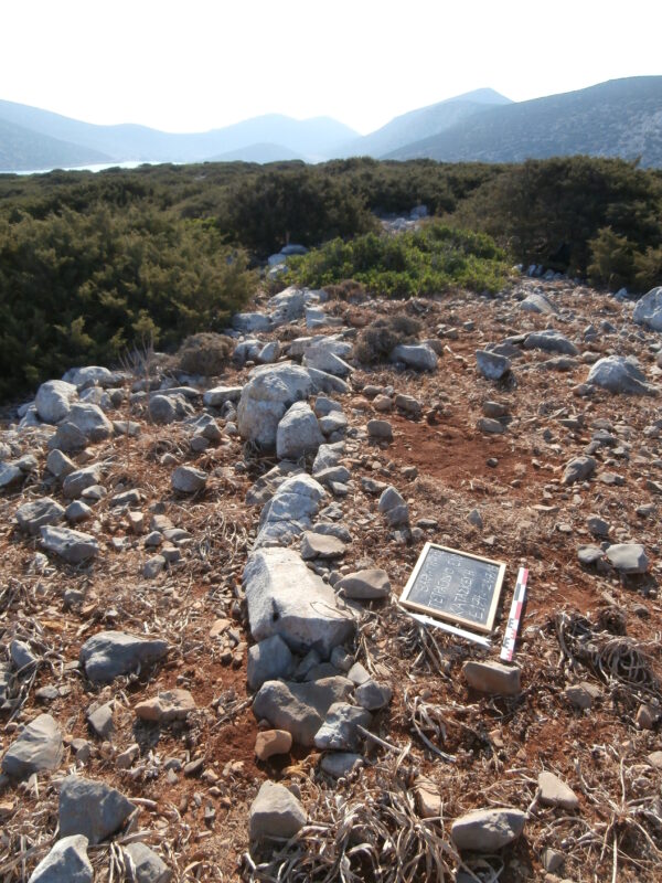 E174 - Image 3