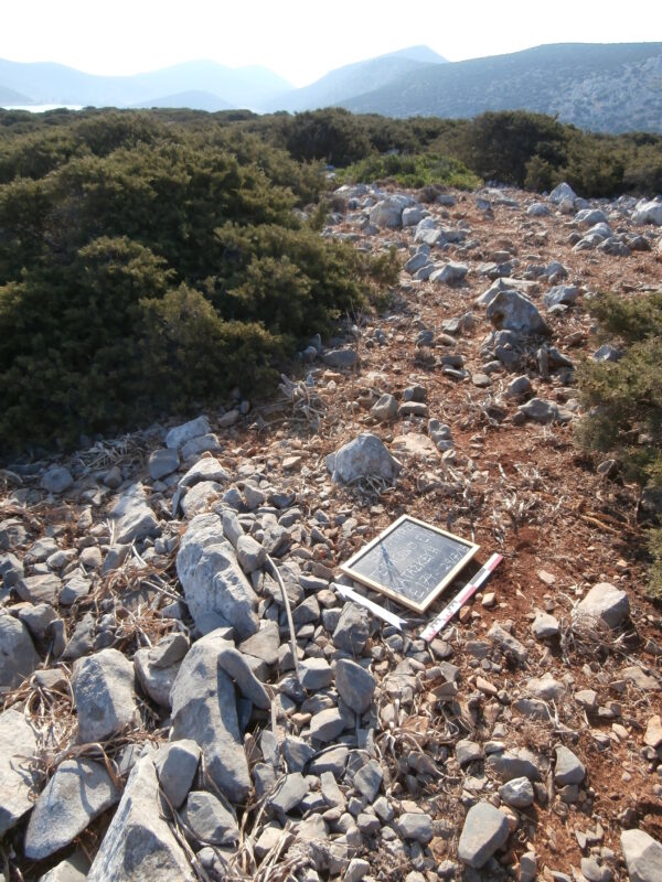E174 - Image 4