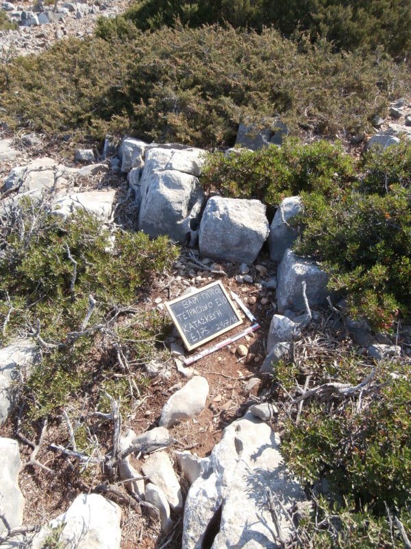 E175 - Image 5