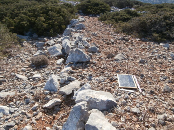 E174 - Image 7