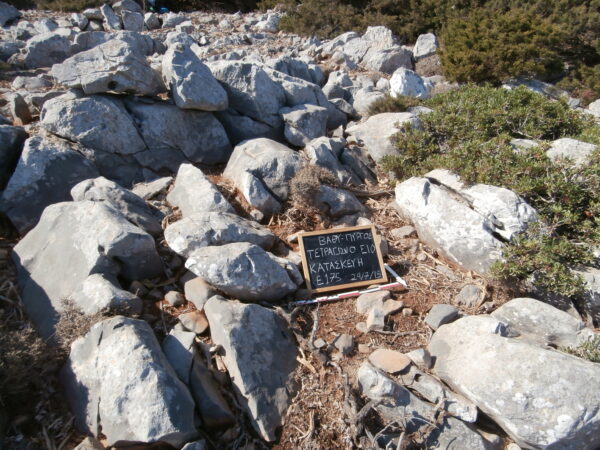 E175 - Image 6