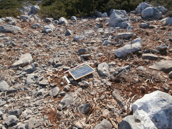 E175 - Image 7