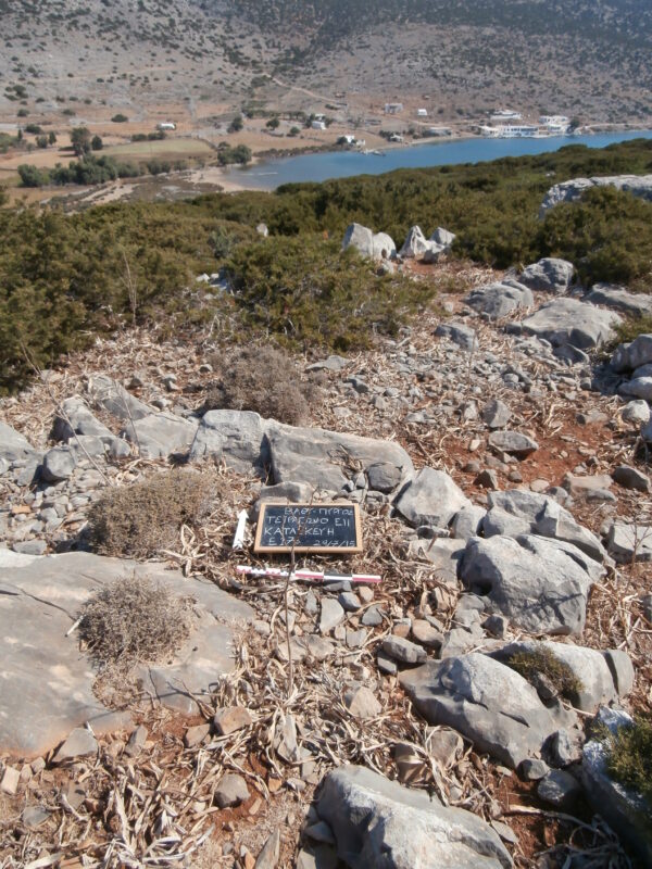 E176 - Image 2