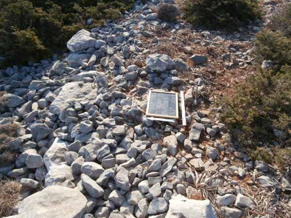 E172 - Image 2