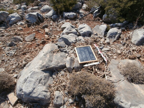 E176 - Image 3