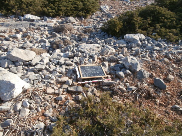 E172 - Image 3