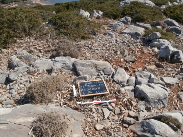 E176 - Image 4