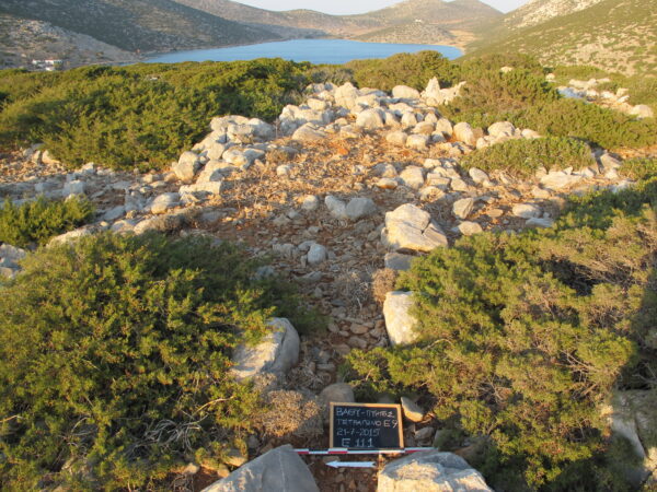 E111 - Image 2