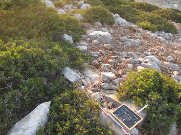 E111 - Image 3