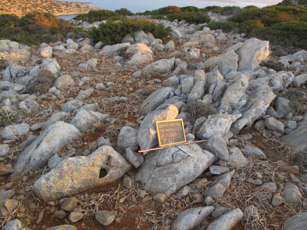 E112 - Image 3