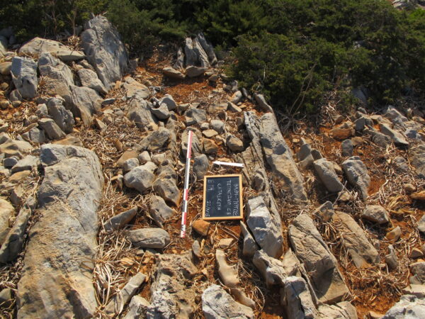E114 - Image 3