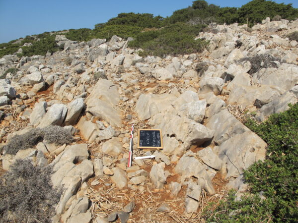 E114 - Image 4