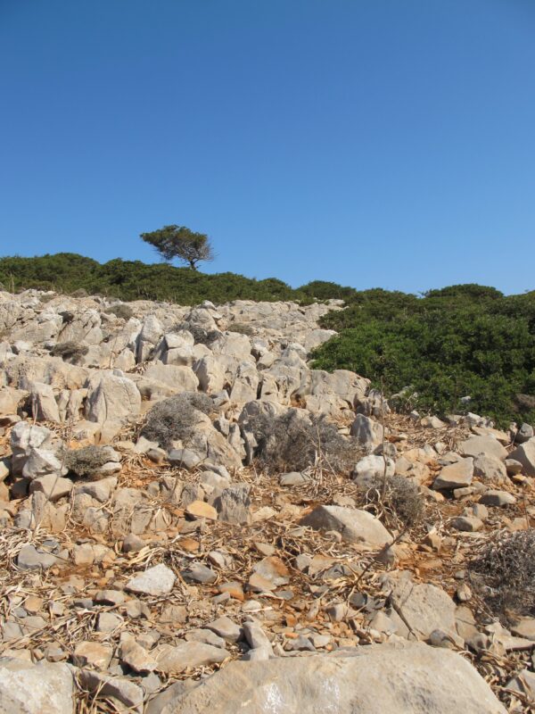 E114 - Image 5