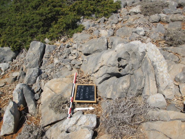 E115 - Image 2