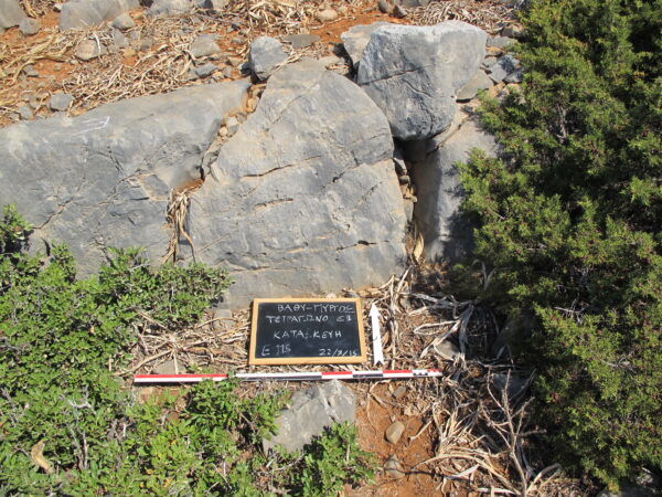 E115 - Image 3
