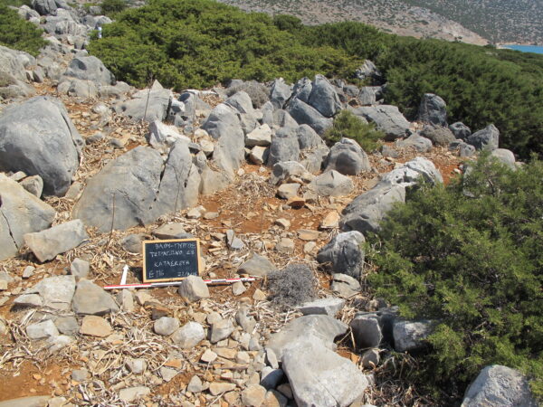 E116 - Image 2