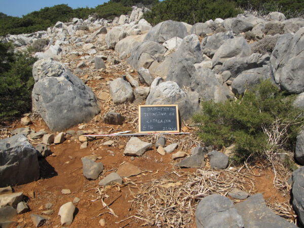 E116 - Image 3