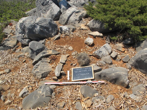 E118 - Image 2