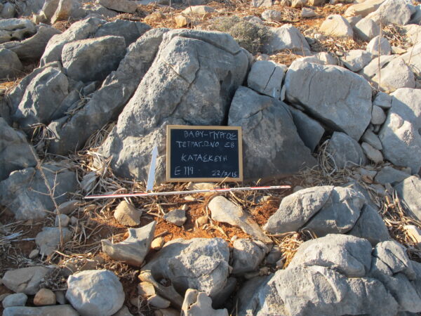 E119 - Image 2