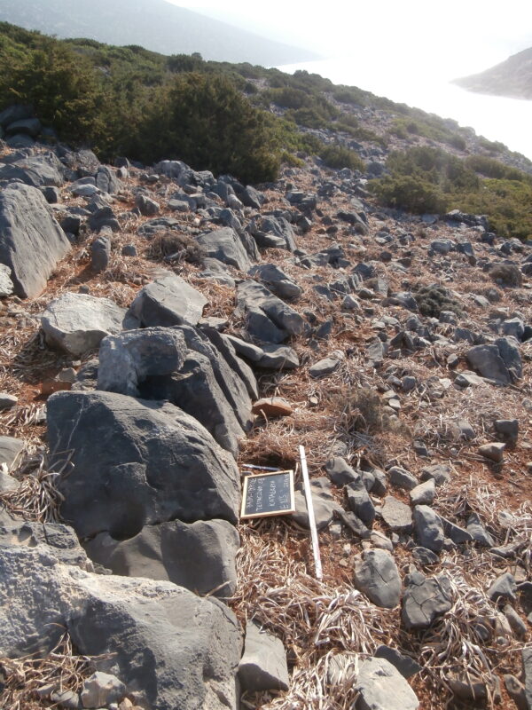 E125 - Image 2